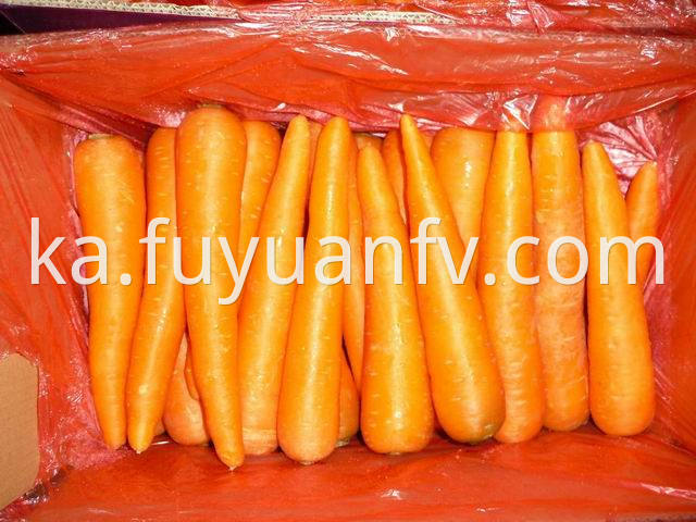 shandong carrot (12)